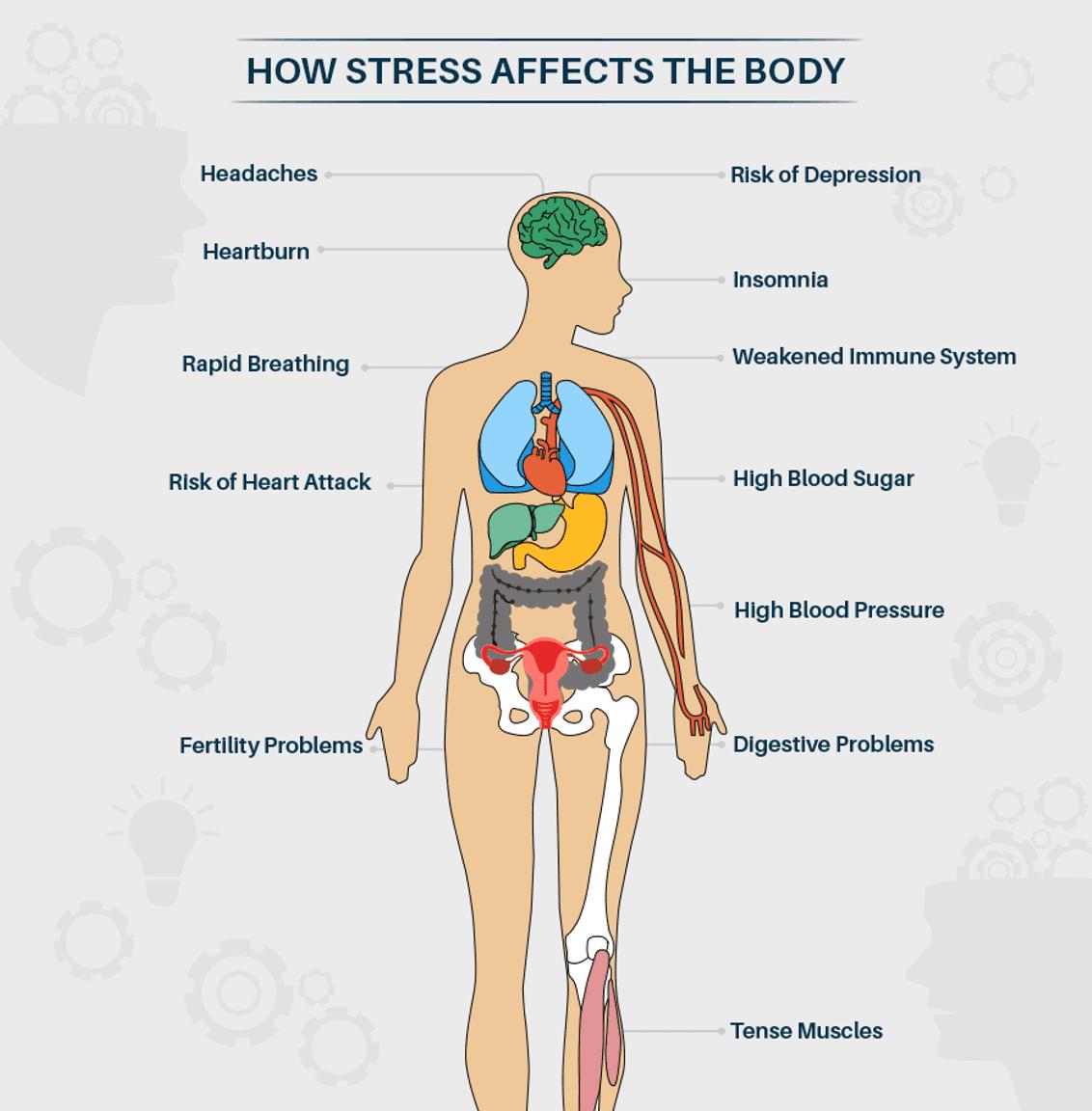 stress impact on health cause and effect essay